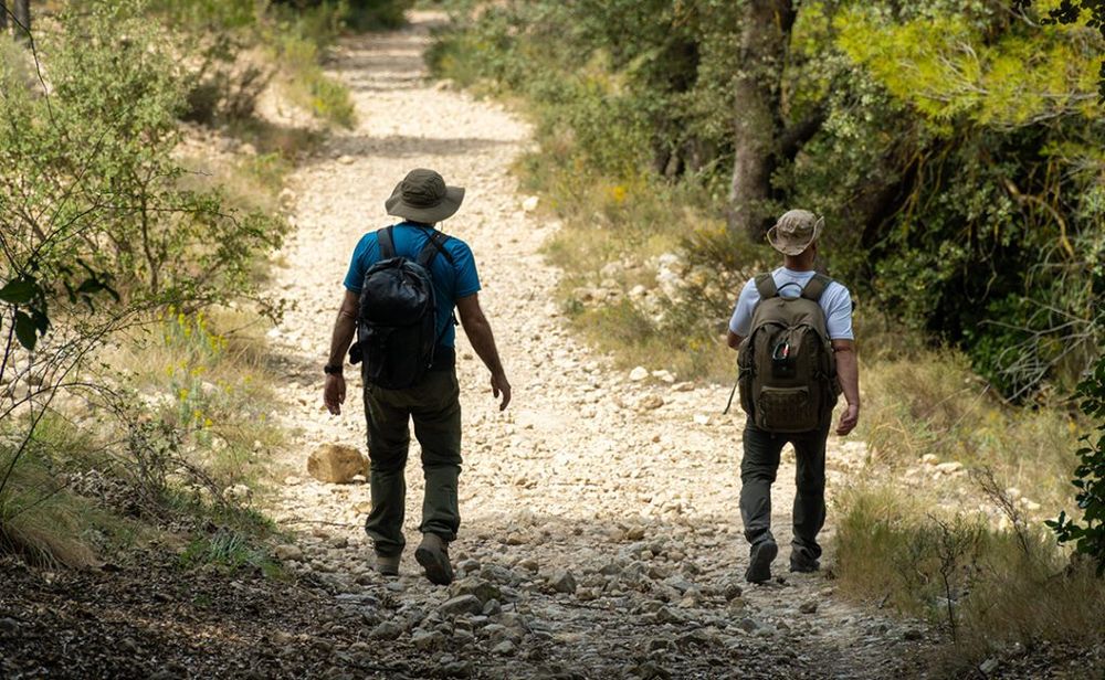 Back view, two hikers walking on a beautiful path, on a summer day.